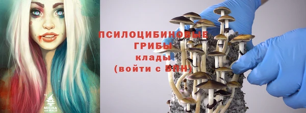 ПСИЛОЦИБИНОВЫЕ ГРИБЫ Алексин