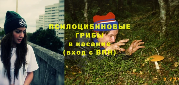 хмурый Аркадак
