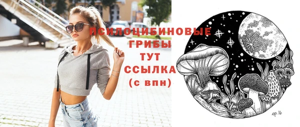 ПСИЛОЦИБИНОВЫЕ ГРИБЫ Алексин